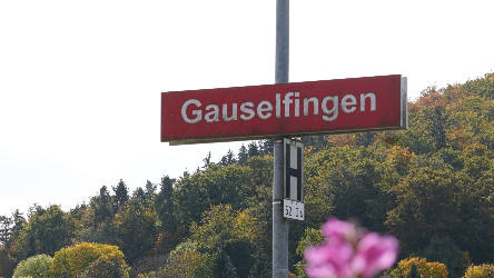 Gauselfingen