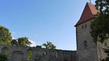 Polleben